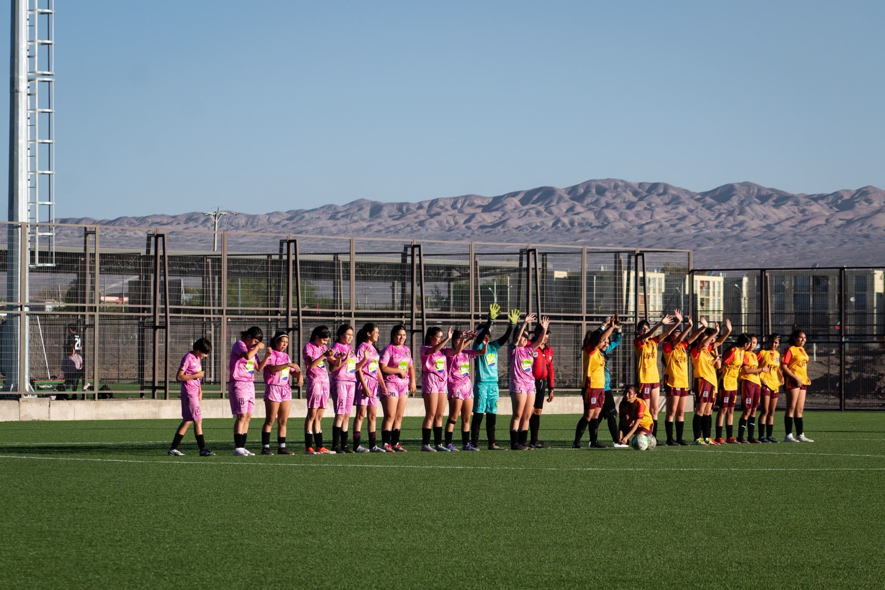 Two soccer teams lined up on the field
