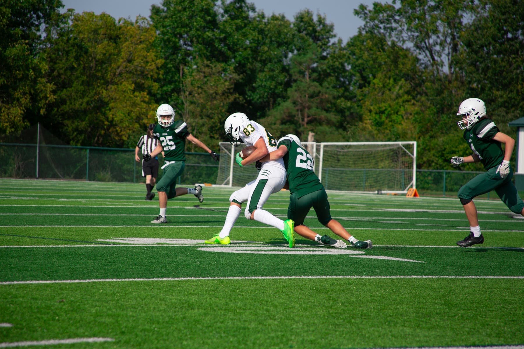 Football players in action on the field